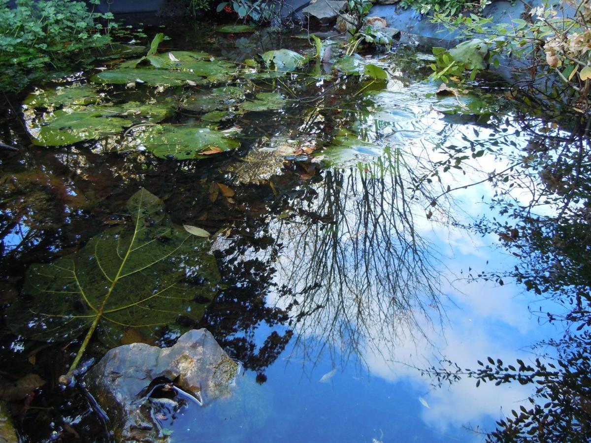 Vila Le Bois Des Pierres Conteville  Exteriér fotografie